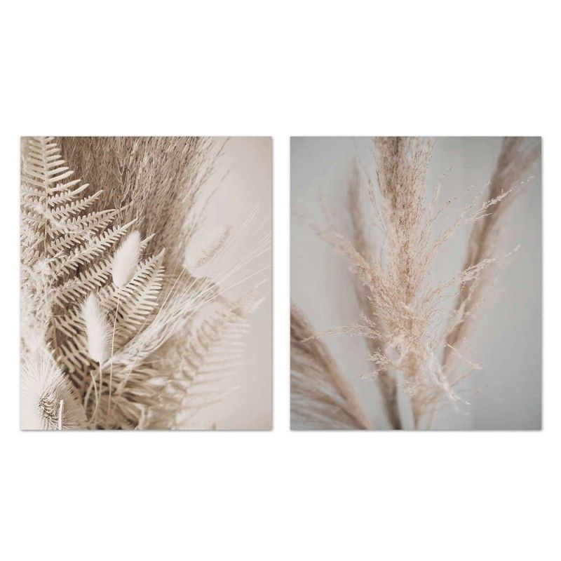 LIENZO TAYLA PAMPAS 40X50cm